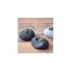 Kit cactus pot en pierre