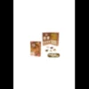Kit de fouille de fossiles