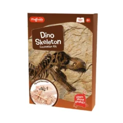 Kit de fouille squelette dino 25 cm
