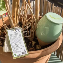 Kit de jardinage