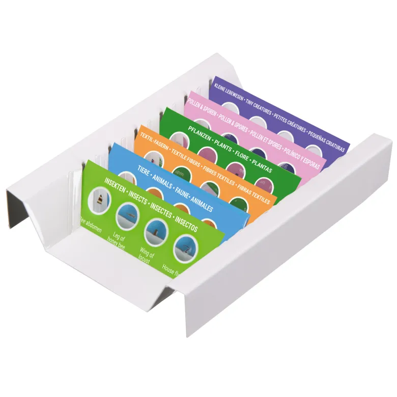 Kit d'expérimentation lames préparées