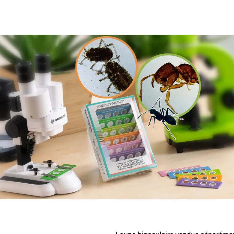 Kit d'expérimentation lames préparées