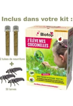 Kit d'élevage de coccinelles tout en 1 -