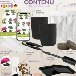 Kit first bonsai cercis chinensis