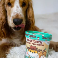 Kit glace au poulet pour chien