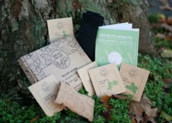 Kit jardinage - mes petits aromates : basilic, persil, coriandre, thym, ciboule