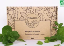 Kit jardinage - mes petits aromates : basilic, persil, coriandre, thym, ciboule