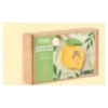 Kit jesmonite vide poches citron