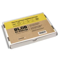Kit élevage blob pour enfants