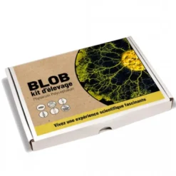 Kit élevage blob pour enfants
