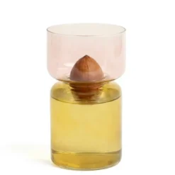 Kit vase de germination spécial noyau d'avocat en verre transparent