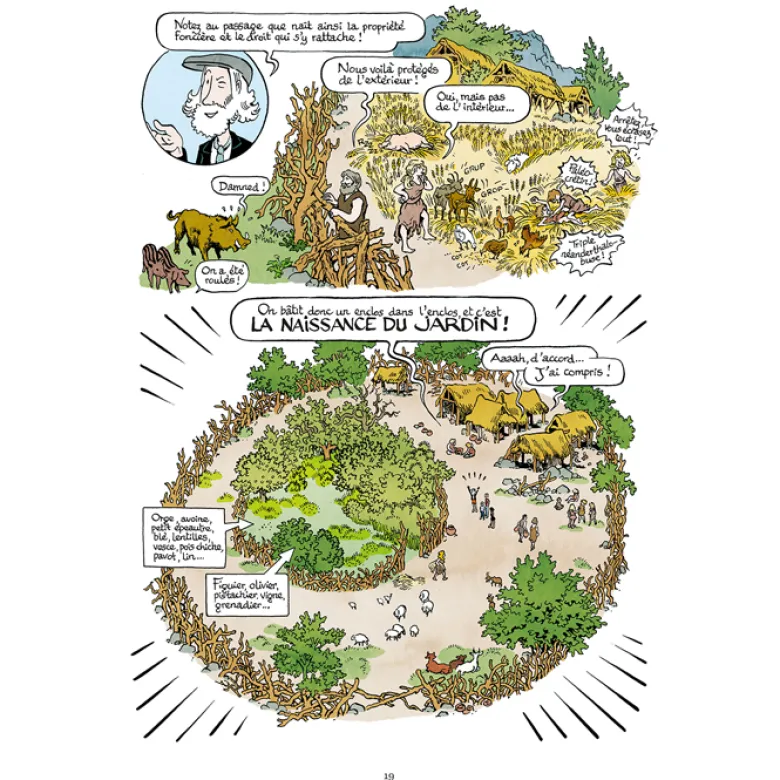 La belle histoire des jardins