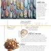 La grande histoire des Sciences