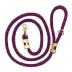 Laisse aubergine