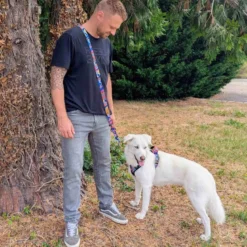 Laisse pour chien lagon multiposition