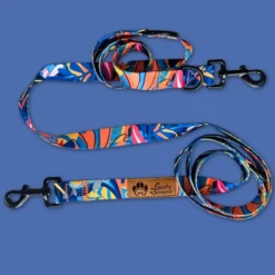 Laisse pour chien lagon multiposition