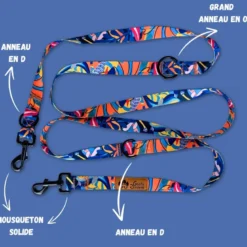 Laisse pour chien lagon multiposition