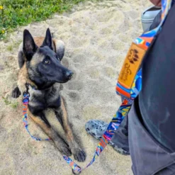 Laisse pour chien lagon multiposition