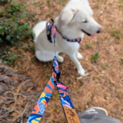 Laisse pour chien lagon multiposition