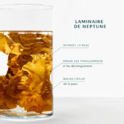 Lait démaquillant visage bio