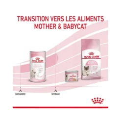 Lait maternisé chaton - babycat milk - royal canin
