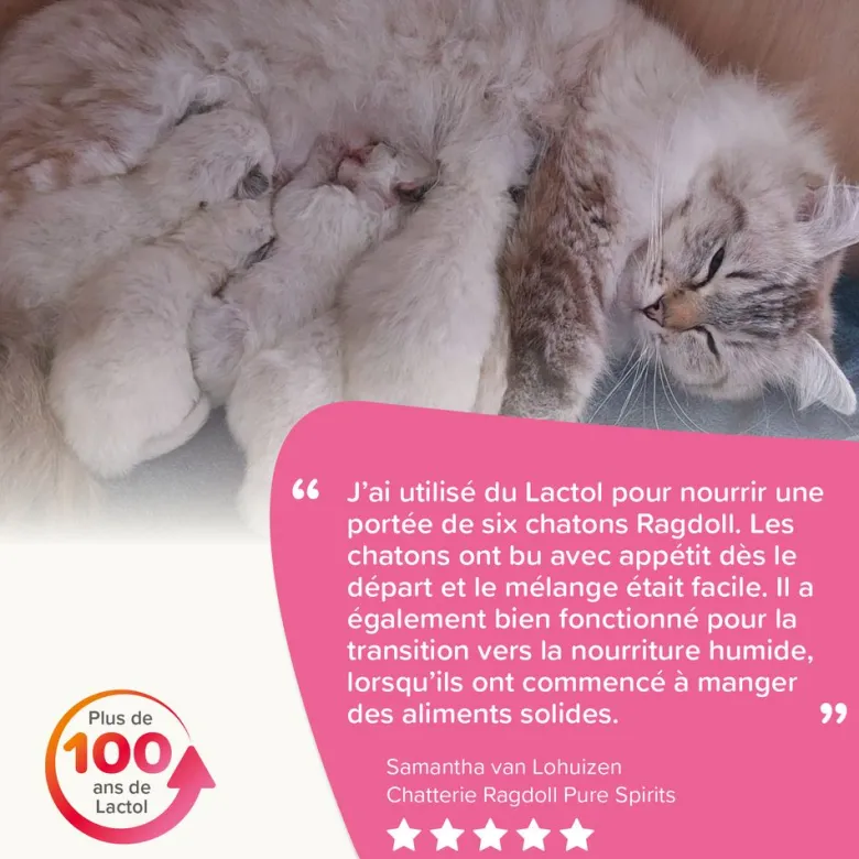 Lait maternisé chaton - beaphar