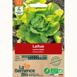 Laitue sucrine appia - graines bio