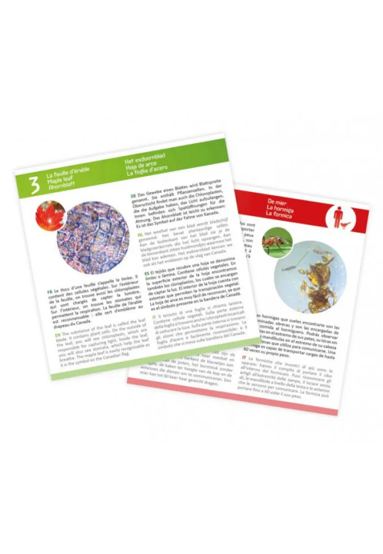 Lames pour microscope buki