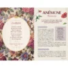 Langage secret des fleurs