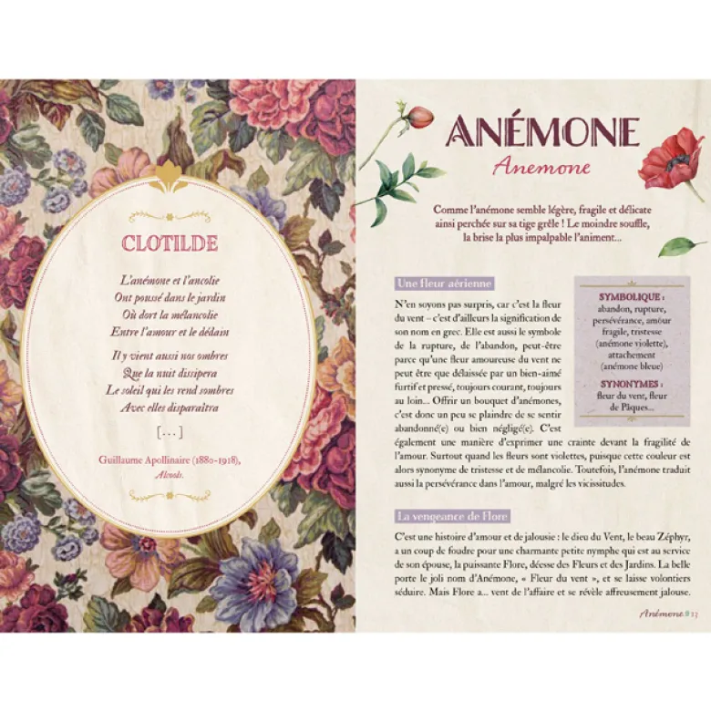 Langage secret des fleurs