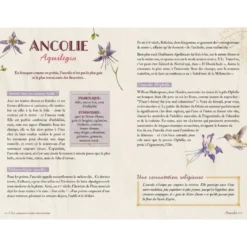 Langage secret des fleurs