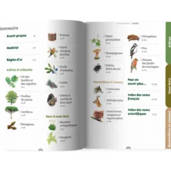Le guide nature En forêt