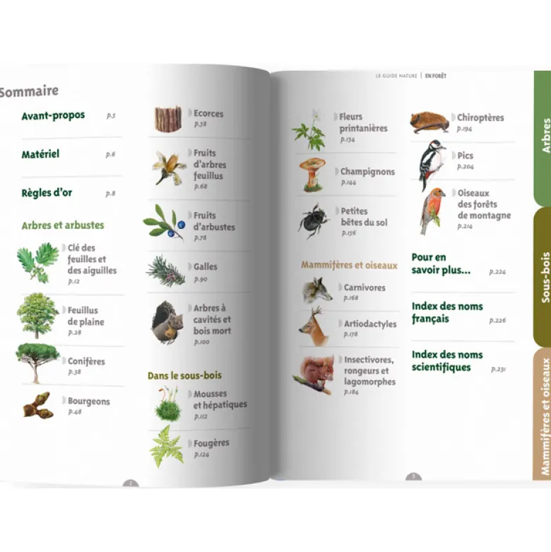 Le guide nature En forêt