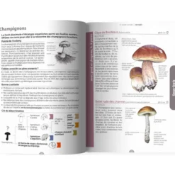 Le guide nature En forêt