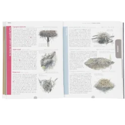Le guide nature : Traces et indices