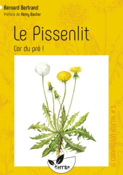 Le pissenlit, l'or du pré !