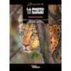 Les secrets de la photo de safari