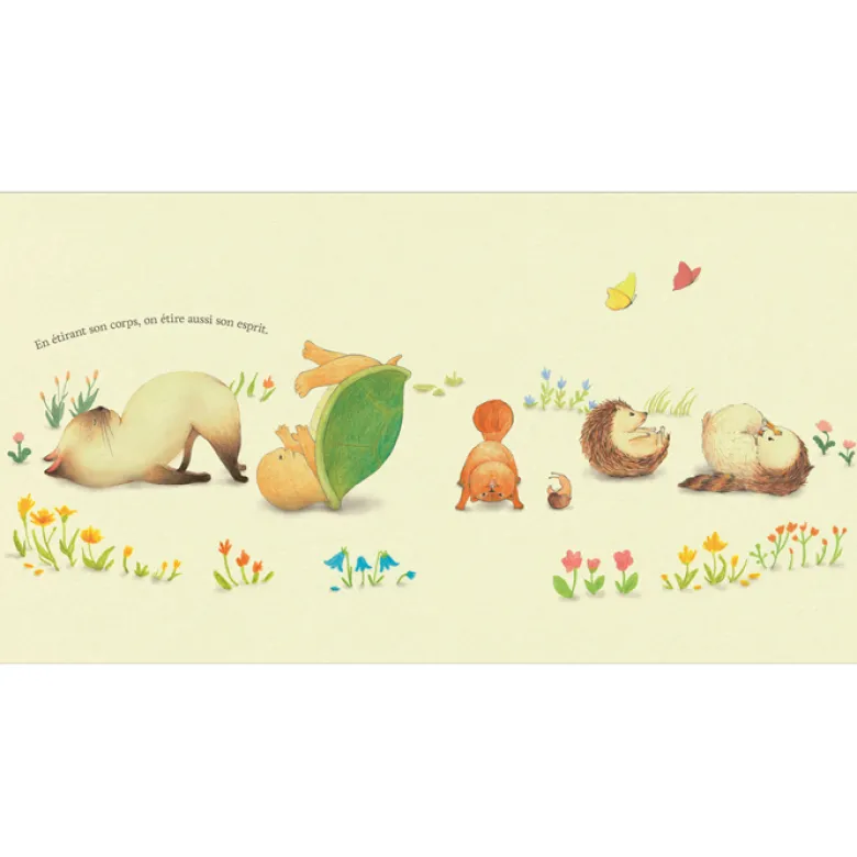Le Yoga du petit chat