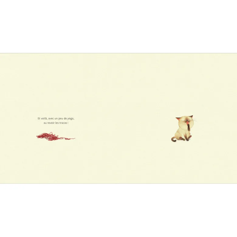 Le Yoga du petit chat