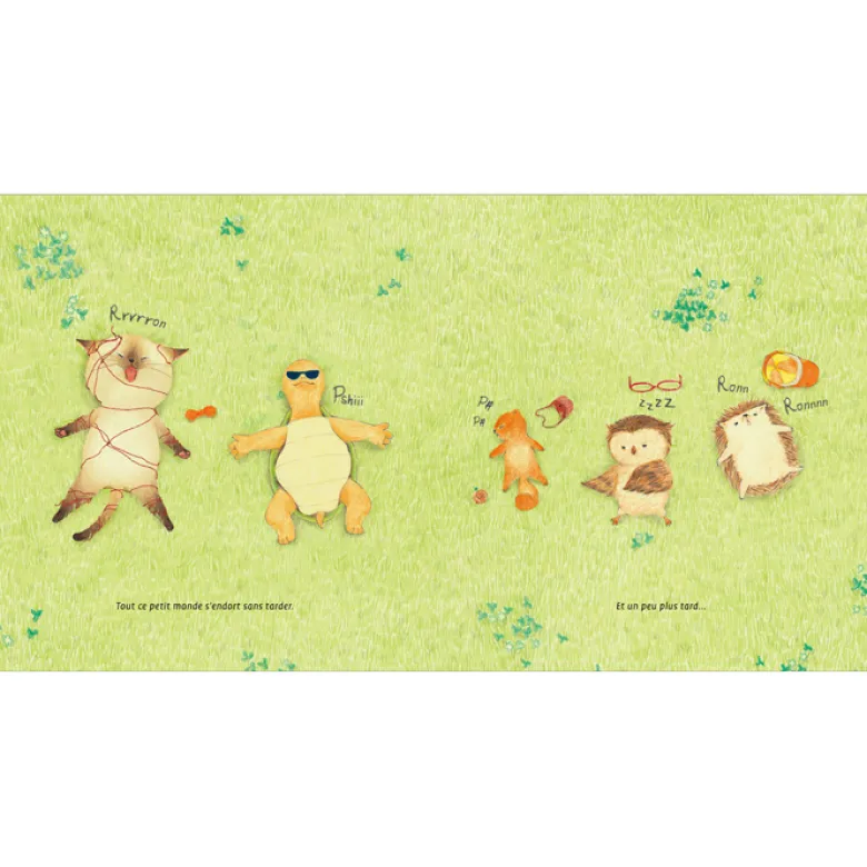 Le Yoga du petit chat