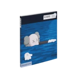 Livre kaws