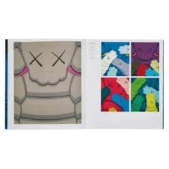 Livre kaws