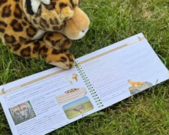 Livret animaux sauvages