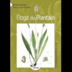 Éloge du plantain