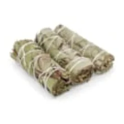 Lot de 3 bâtons d'eucalyptus 100mm - fraîcheur et souffle - bivea