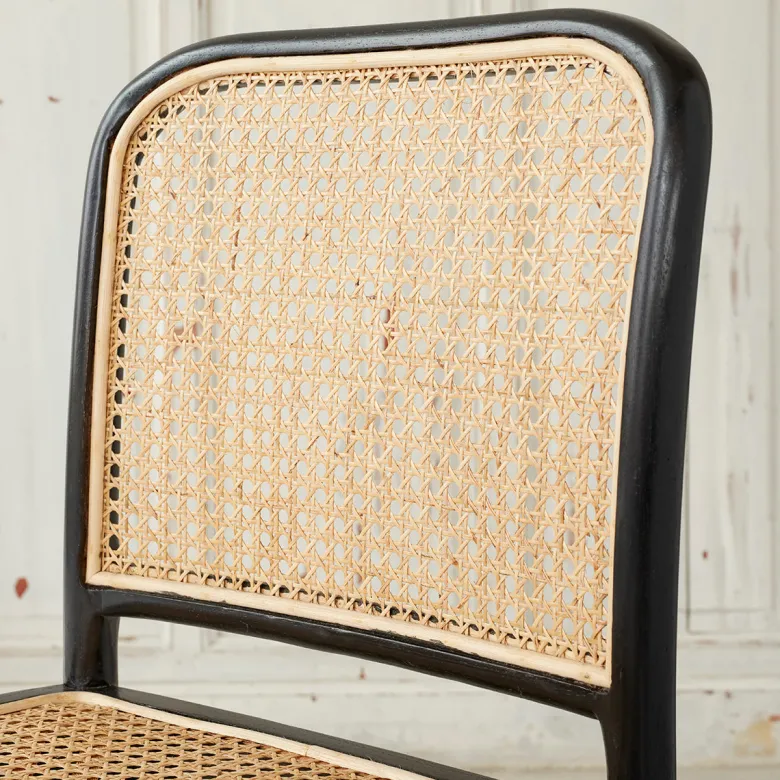 Lot de 2 chaises en acajou