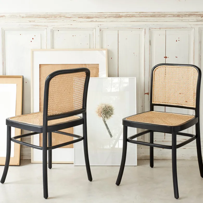 Lot de 2 chaises en acajou