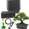 Lot de 10 pots bonsaï