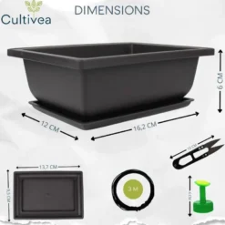 Lot de 10 pots bonsaï