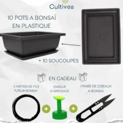 Lot de 10 pots bonsaï